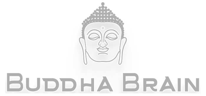 Buddha Brain